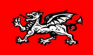 English Wessex Dragon Flags